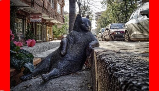 停電・災害・アウトドアに。Jackery Solar Generator 1000 Plusを選んだ理由