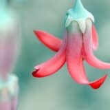 新生活前にやっておいてよかった5つのこと