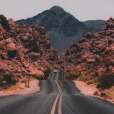 春の朝散歩が習慣になった話