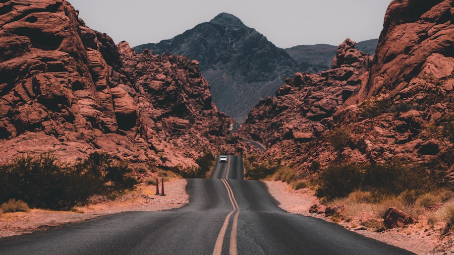 春の朝の散歩道